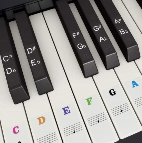Piano keyboard note - piano,