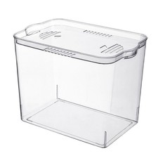 Transparent Goldfish Tank