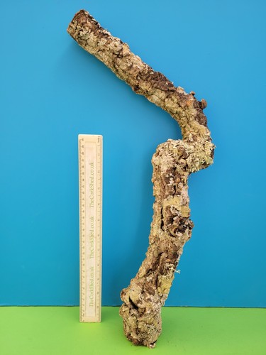 Cork bark branch - cork,