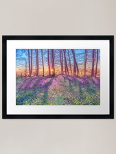Sunrise Bluebells Framed Art