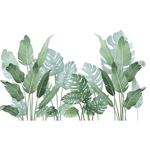 Wallpaper plants tropical leaf - plants,
