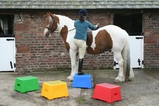 Heavy Duty 1 Step Horse