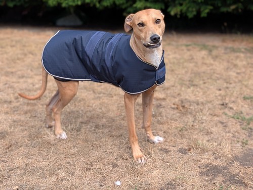 Animates waterproof dog - waterproof,