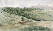 Scottish Rural Landscape -