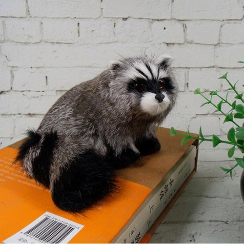 Realistic raccoon lifelike - raccoon,