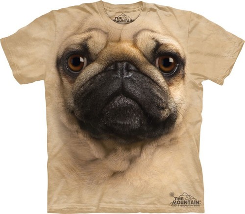 The mountain pug puppy dog - the,