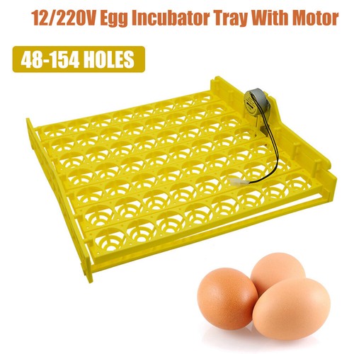154 chicken egg turner for - chicken,