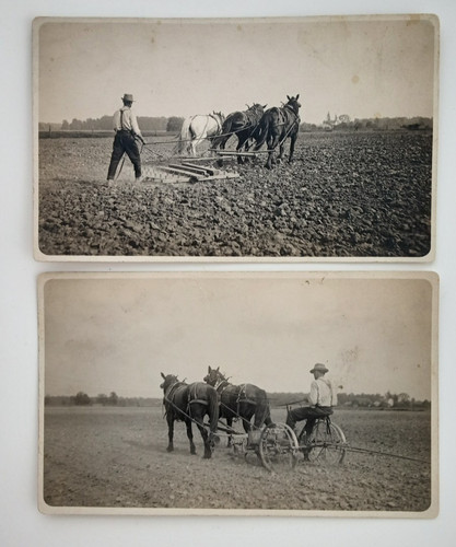 Farm field farming - farm, real