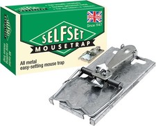 Selfset mouse trap kills - trap, mice