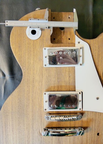 Les paul type electric guitar - electric,