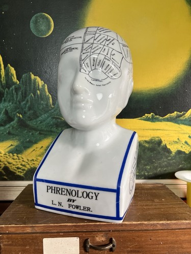 Vintage ceramic phrenology - vintage,