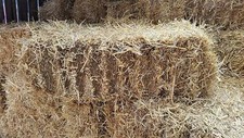 Barley straw full bale - bale,, feed