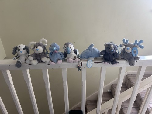 Blue nose friends 18 - blue,