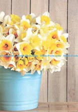 D240810 I m Supporting the