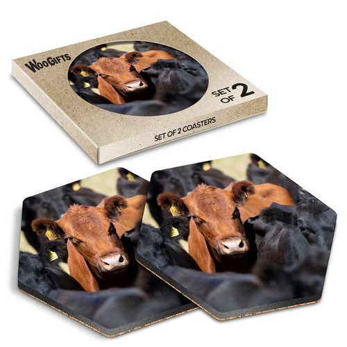 Hexagon mdf coaster - hexagon, aberdeen