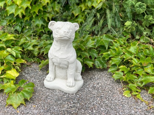 Staffordshire bull terrier dog