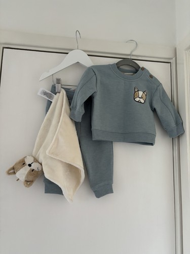 Three piece dog tracksuit - piece, set