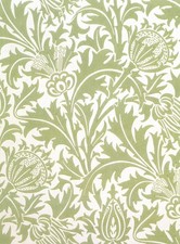 Thistle Wallpaper, William