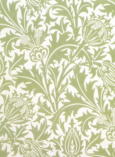 Thistle wallpaper william - thistle,