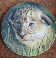 Princeton Gallery Cubs of the