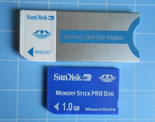 Sandisk 1gb memory stick pro - sandisk,