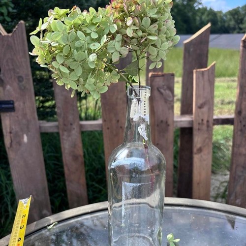 Real preserved hydrangea stems - preserved,