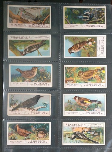 Ogdens british birds full - british, birds,