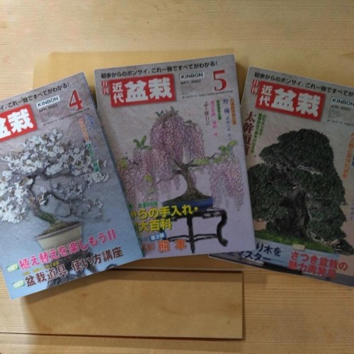 Modern bonsai magazine 2007 - modern,