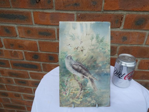 Antique thrush bird sat - /,