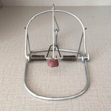 Mouse trap spring - rat, weasel