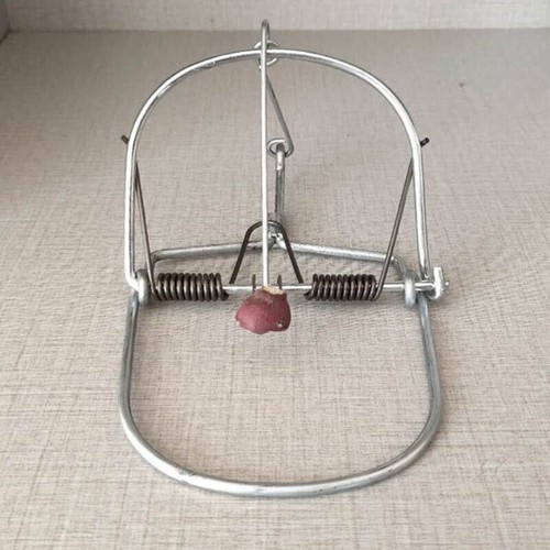 Mouse trap spring rat - mouse,