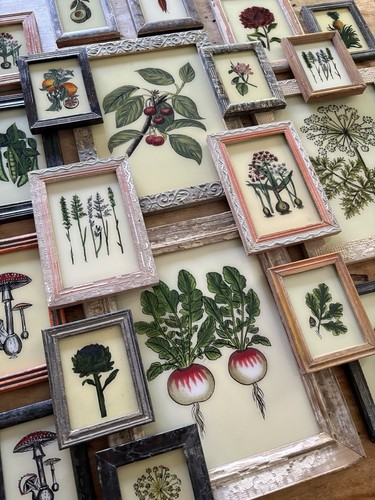 Botanical reverse glass - botanical,