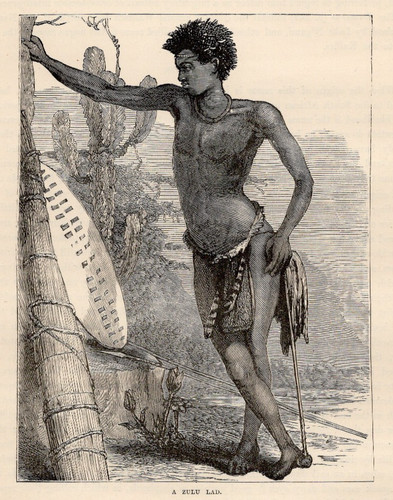 Zulu warrior with shield and - zulu,