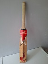 Woodworm cricket bat - cricket, ibat