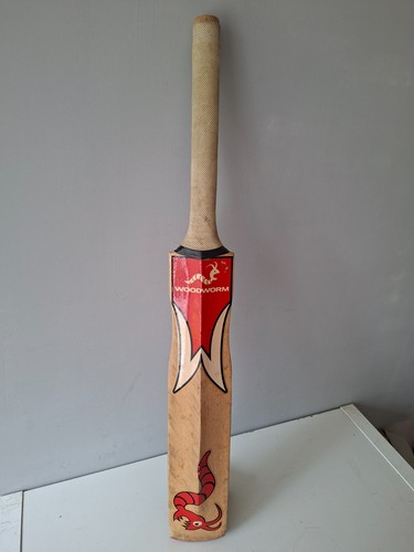 Woodworm cricket bat ibat - woodworm,
