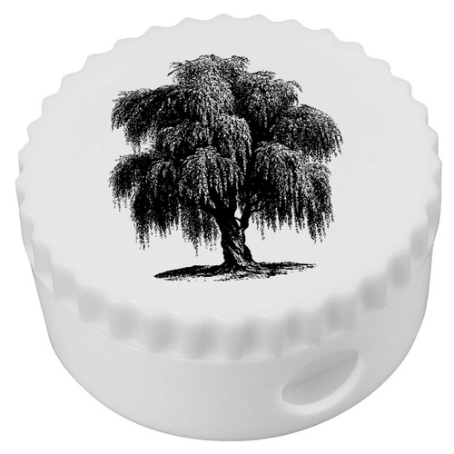 Old willow tree - 'old,