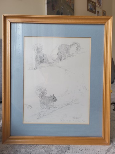 Pencil drawing original - an,