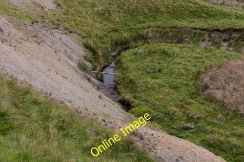 Photo 6x4 mammal - 6x4, on