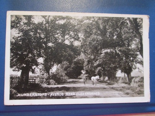 Postcard humberstone avenue - postcard,