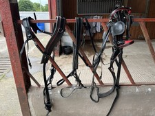 BIOTHANE TIE DOWN DRIVING HARNESS BLACK/RED COLOR