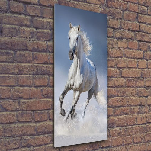 Wall art print plexiglas - art,
