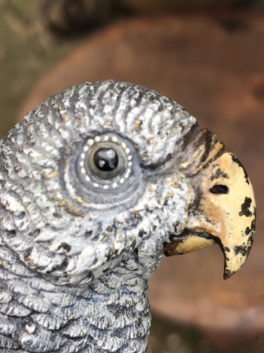 Bronze parrot antique vintage - parrot,