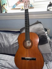 Classical Acoustic Guitar