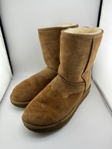 Ugg women classic short - ugg,