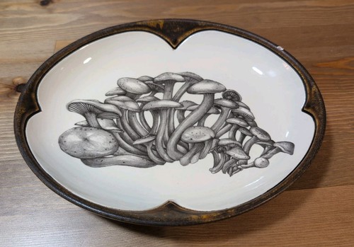 Laura zindel funnel mushroom - laura,