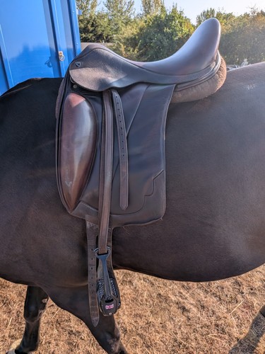 Nick dolman brown - 17.5”,