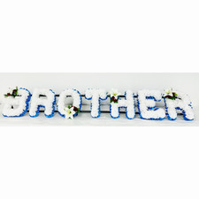 BROTHER Artificial Silk