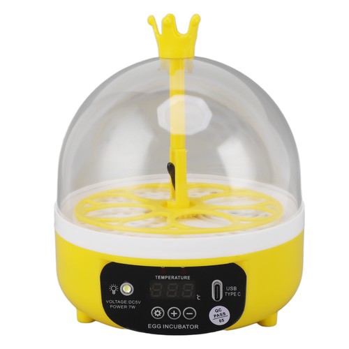 Mini egg incubator - mini, for