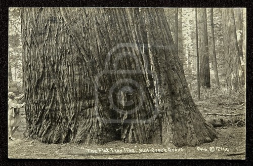Rppc bull creek - rppc,,