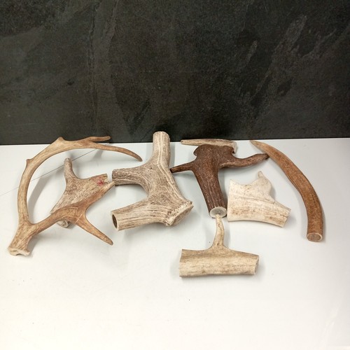 Walking stick parts antler - walking,